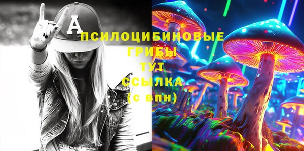 МДПВ Алзамай