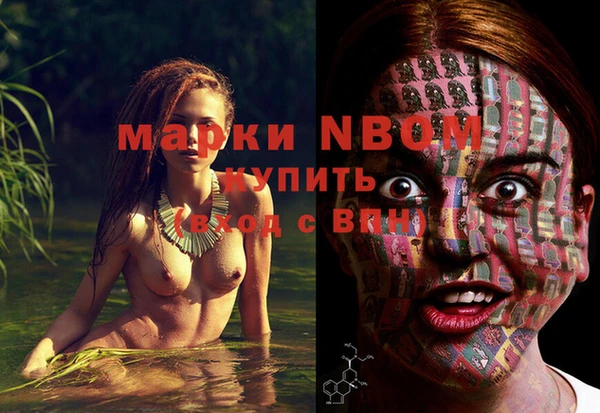 МДПВ Алзамай