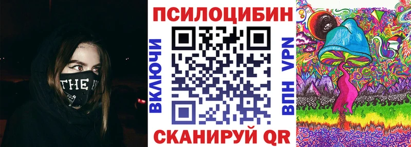 Галлюциногенные грибы GOLDEN TEACHER  купить  сайты  Николаевск 